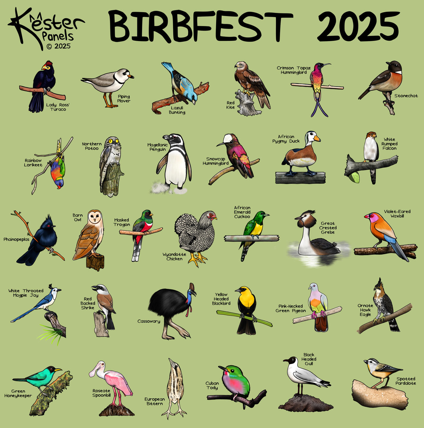 Birbfest 2025