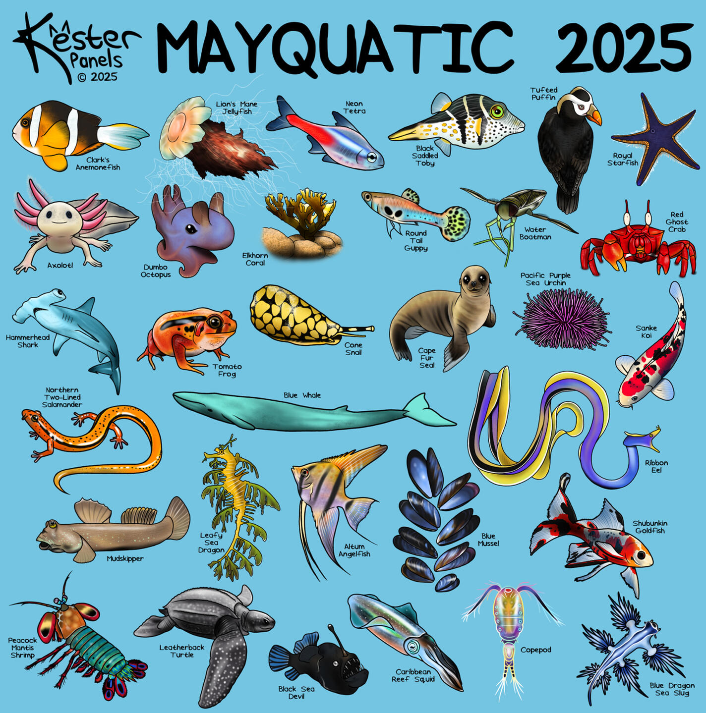 Mayquatic 2025